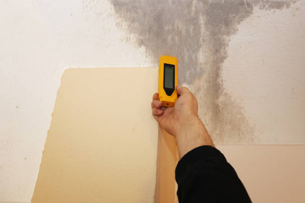 Best Crawl Space Mold Remediation  in Eagleview, PA