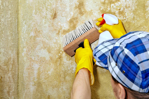 Best Mold Prevention Services  in Eagleview, PA