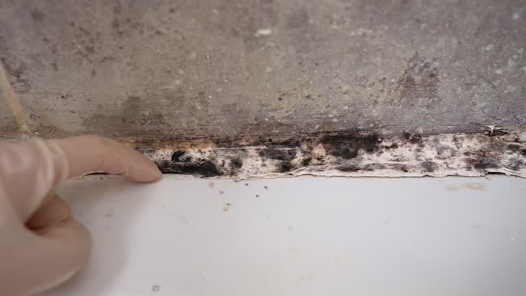 Best Indoor Air Quality Assessment  in Eagleview, PA
